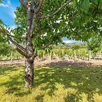 Casa vacanze Adria